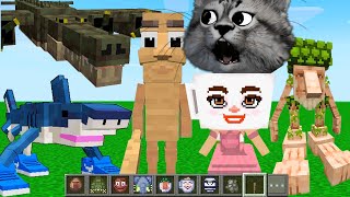 Tung Tung Tung Sahur Karakterlerine ''HIZ-DENGE-GÜÇ'' TESTİ | MİNECRAFT