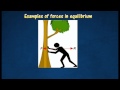 Equilibrium and Forces in Physics