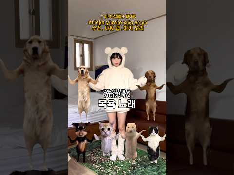 가장 좋아하는 동물을 골라보세요 ? 고양이 목욕송