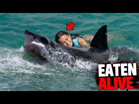 This Girl Gets DEVOURED After Mistaking Shark For Dolphin!