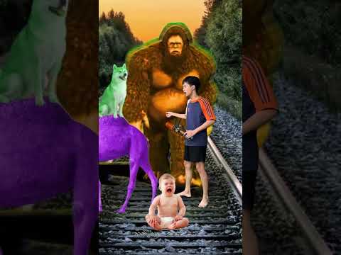 2 different colors Cute cats & baby vs 15 Gta 5 bigfoot & train driver tom…