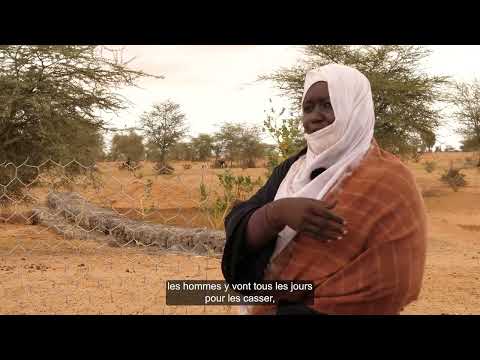 En Mauritanie: comment aménager les seuils en Gabions? 