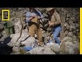 Cody's Snake Hunting Adventure