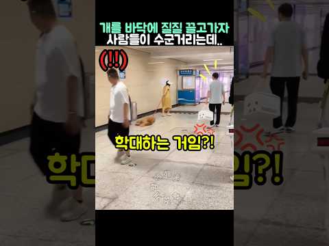 개를 바닥에 질질 끌고가자 사람들이 수군거리는데..