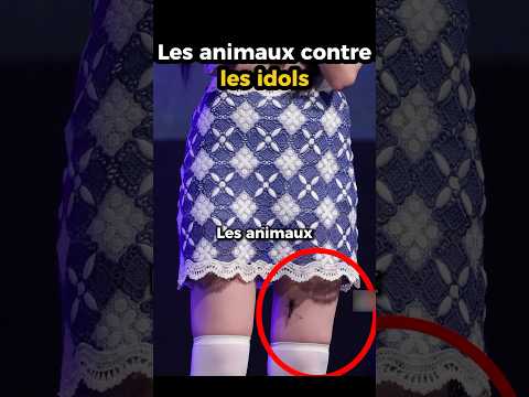 Les animaux contre les idols.