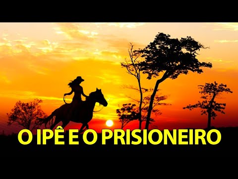 O Ipê e o Prisioneiro (lyric) | MODÃO RAIZ SERTANEJA - SÓ AS MELHORES DO SERTANEJO ANTIGO