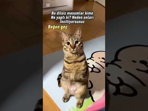 #keşfetteyiz #keşfetbeniöneçıkar #ytdayibenionecikarnolur #keşfet