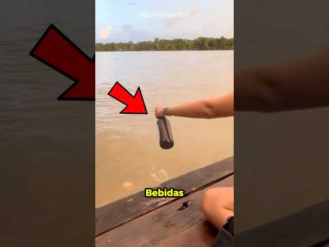 ¿Qué pasa si tiras alcohol a un lago de pirañas? 🐟🥃😱