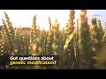 Understanding Genetic Modification Concepts