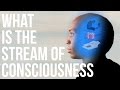 Consciousness in Literature and Introspection