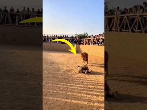 "When you fear the lionโฆ how then do you fear God?"๐ฅบ๐๐ป#like #viral #trending #shorts