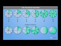 Understanding Like and Unlike Fractions