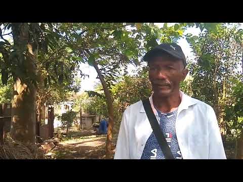 Productividad desde la agricultura urbana