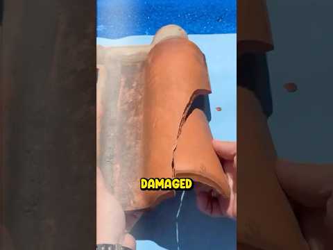 How To Fix Broken Roof... ๐ฒ