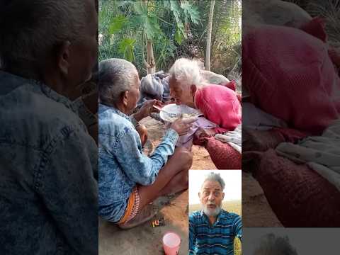 #TIMELAPSE: START to FINISH Alone BUILD LOG Cabin (Wooden House), How To Build Wooden Cabin, Surviva