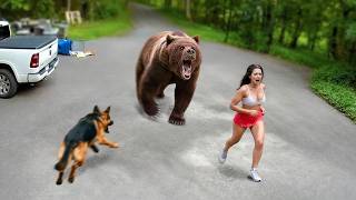 60 Hero Animals That Saved Human Lives
