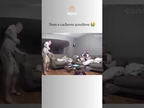 #cães #comedia #humor #pets #engraçado #memes #dogs #viral #shorts #fyp