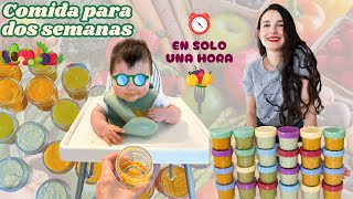 Comida para bebé de 6 meses | DOS SEMANAS DE COMIDA EN 1 UNA HORA| Nutritivo, fácil y delicioso!
