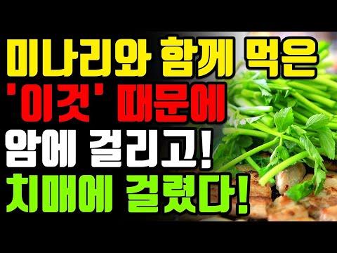 미나리와 절대로 함께 먹지마세요! 암과 치매에 걸릴 수 있습니다! 미나리 함께 먹으면 보약보다 좋은 3가지 만성염증 독소 싹 사라지는 레시피 [미나리 효능 부작용 건강 정보 꿀팁]