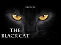 Narrator's Relationship with Animals and Guilt