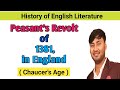 Peasants' Revolt of 1381 Overview