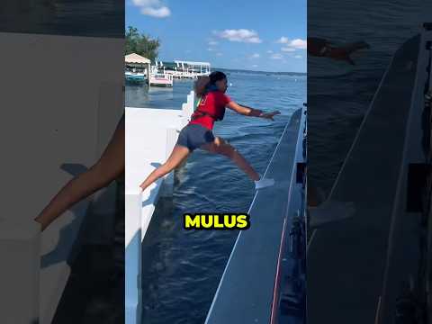 Misi Surat di Dermaga yang Bikin Orang Jatuh ke Laut