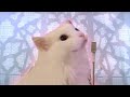 Introduction to Sounds in Video