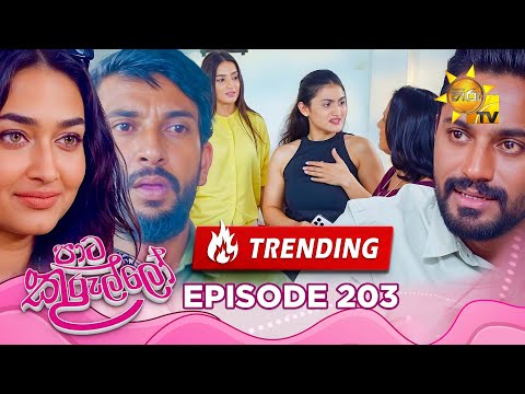 Paata Kurullo - පාට කුරුල්ලෝ | Episode 203 | 2025-02-18 | Hiru TV