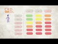 Chronic Kidney Disease Assessment
