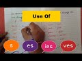 Plural Forms and Irregular Nouns