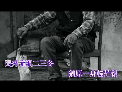 浪子走天涯