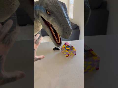 Raptor Tries Destroying LEGO Doghouse ๐ฆ๐