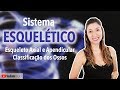 Anatomia do Esqueleto Humano