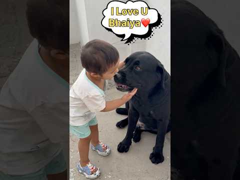 My Dog Loves His Sisterโค๏ธ #doglover #lucky