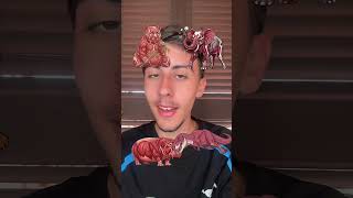 Filter Challenge 42