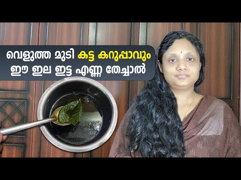 വെളുത്ത മുടി കട്ട കറുപ്പാവും ഈ ഇല ഇട്ട എണ്ണ തേച്ചാൽ | മുടി കറുപ്പിക്കാൻ | Natural Hair Dye