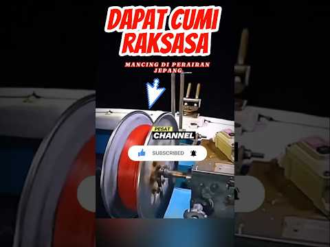 Menangkap Cumi Raksasa! #kuliner #food #faktamakanan #faktamenarik #ikan