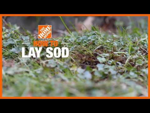 How to Lay Sod