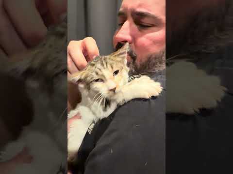 New foster kitty! Hopefully she’ll be up for adoption when we get her healthy!