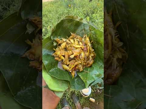 Jharkhand Tribal Market Adivasi Style White Fish Curry Recipe