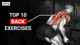 10 Great BACK Exercises to Try
