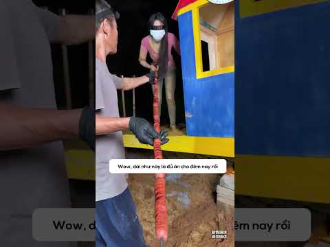 Thử thách 24h sống trong ngôi nhà trên cái bập bênh
