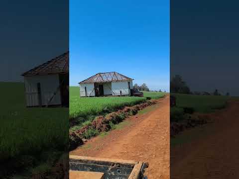Levou a casa embora