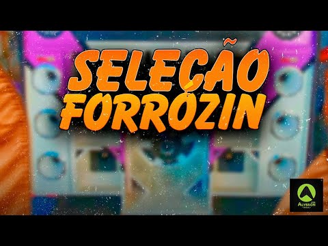 FORROZIN  - PRA PAREDÃ - SELEÇÃO MÉDIOS GRAVES - FORRÓ ALTERADO