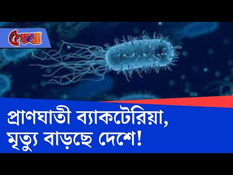 Bacteria Hub, Bengal Health Ministry: ব্যাকটেরিয়ার সঙ্গে লড়াইয়ে দেশকে পথ দেখাবে বাংলার সংস্থা