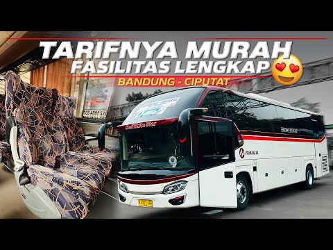 INI SEBABNYA PRIMAJASA SELALU RAMAI PENUMPANG⁉️Trip Bandung - Ciputat with Primajasa Executive