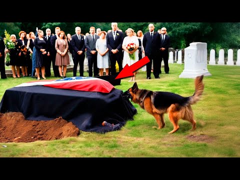 A Dog Barked Relentlessly at a Coffin—The Shocking Truth Inside Left Mourners Stunned