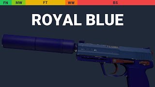 USP-S Royal Blue Wear Preview