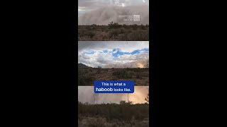 This Haboob Is Quite The Dust-Up!