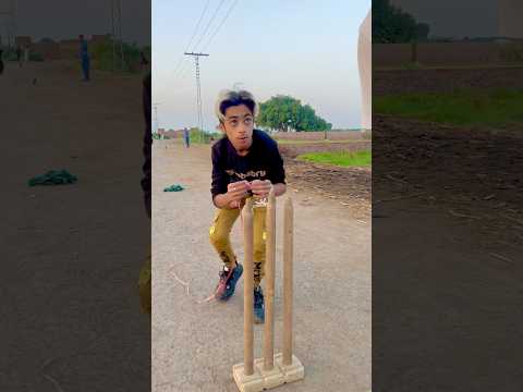 Cute baby cricket 🏏 #shortvideos #shortsyoutube